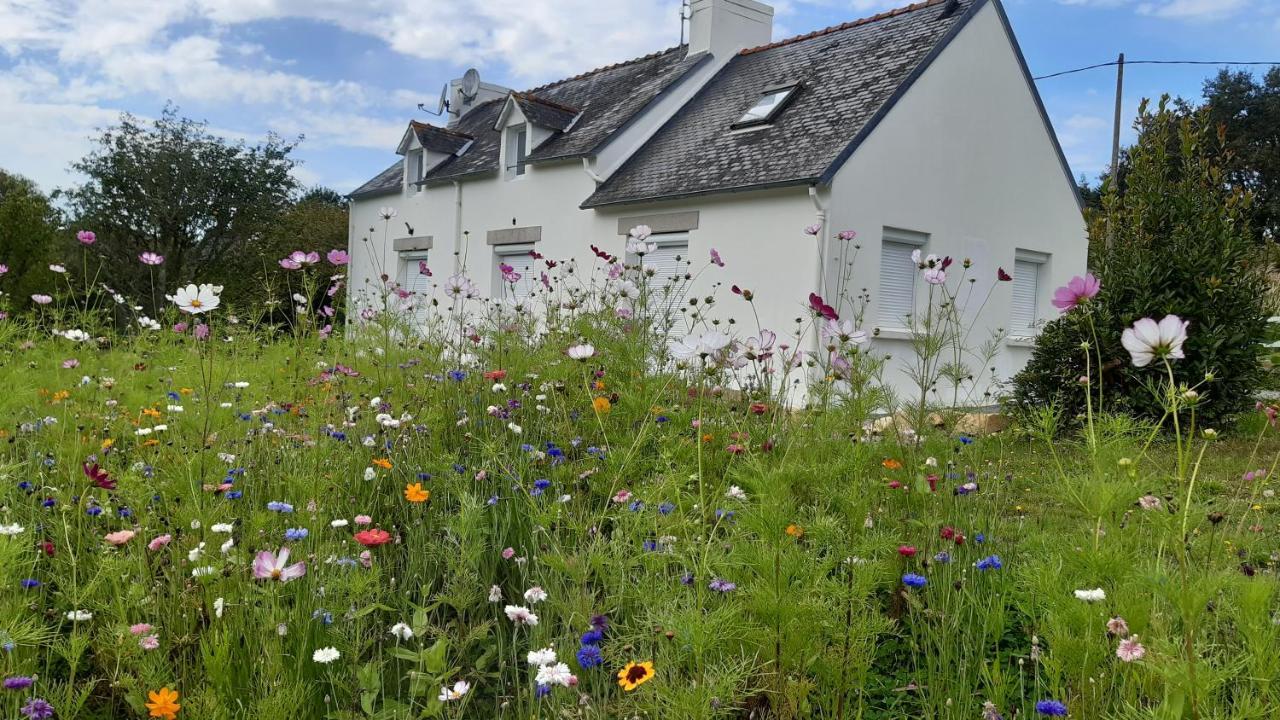 Maison 8 Personnes A 4 Km De Benodet Gouesnach Exteriör bild